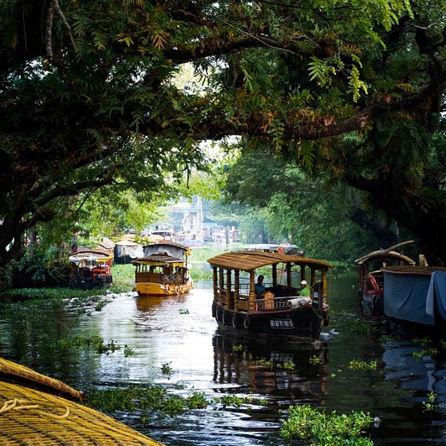 tourism, kerala, travel, nature, boating, outdoors, kerala, kerala, kerala, kerala, kerala